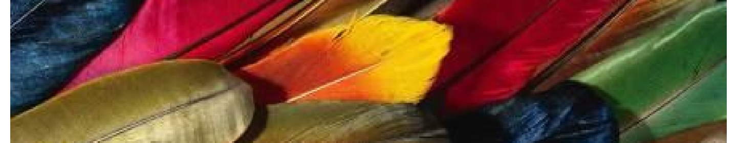 سعادت نساجان یزد