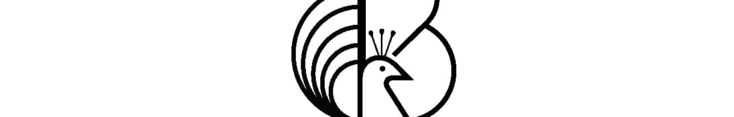 استخدام پروژه Bella