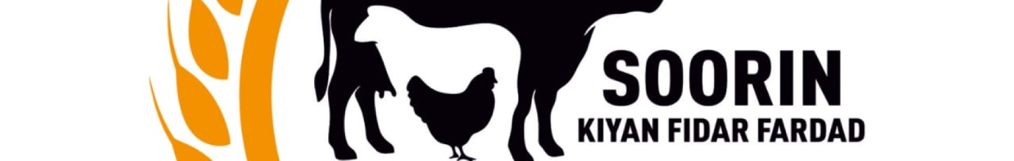 استخدام سورین کیان فیدار فرداد