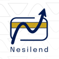 استخدام نسی لند