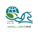استخدام کیان سیر محمد