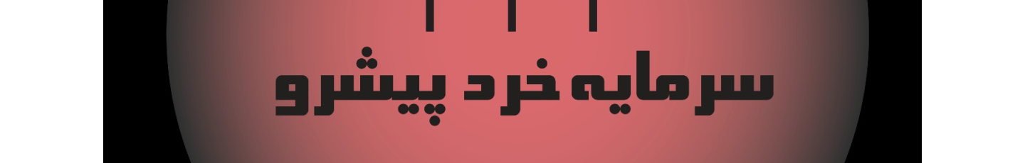 استخدام سرمایه خرد پیشرو