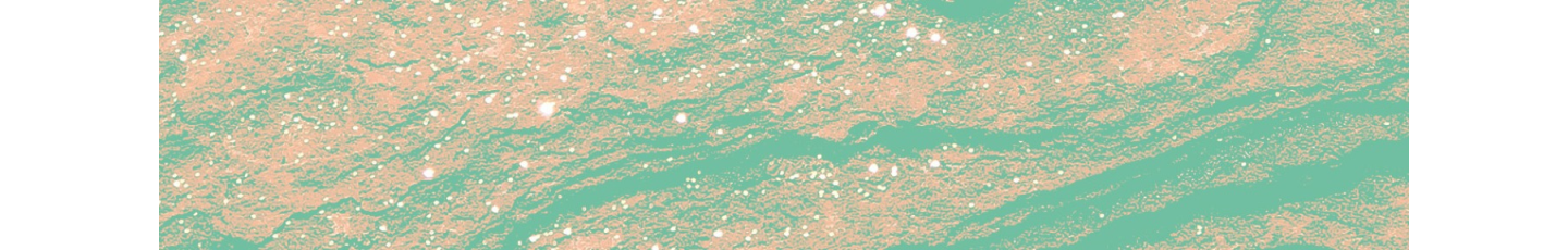 استخدام ایران کتاب