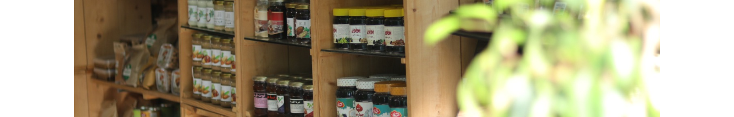 استخدام مجموعه تخصصی ارگانیک فردوس