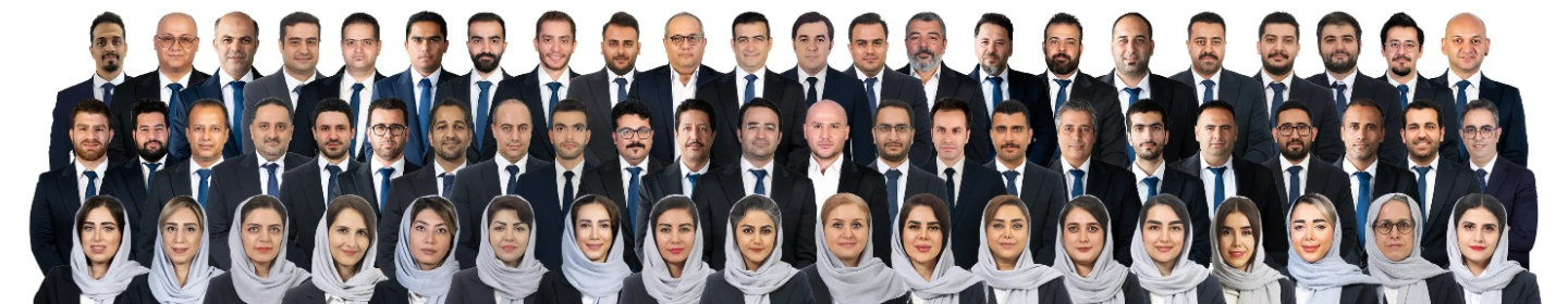 شرکت مهندسی دامون