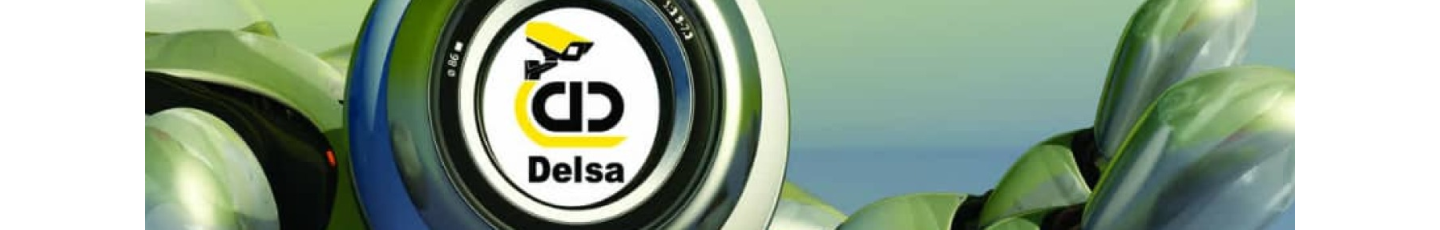 استخدام دلسا امنیت