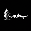 استخدام سپیدار وب