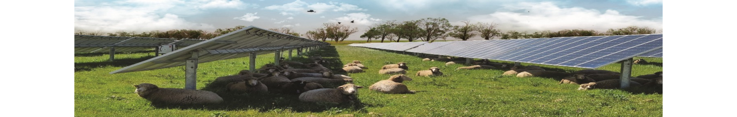 استخدام کشت و صنعت سروزرع نوین