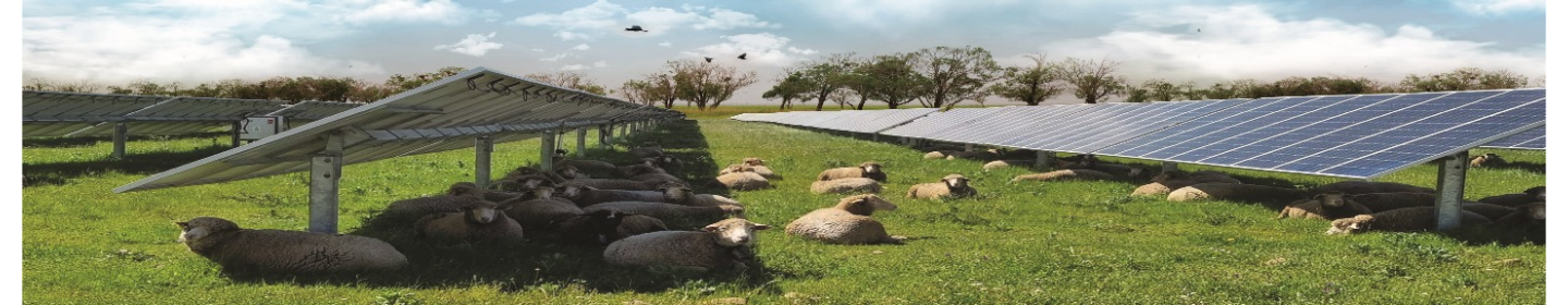 کشت و صنعت سروزرع نوین