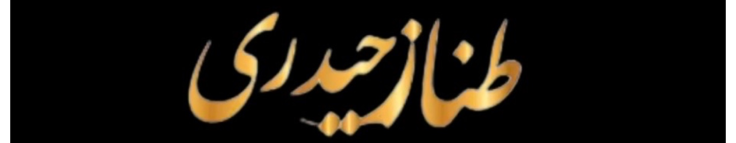 آکادمی زیبایی CIP طنازحیدری