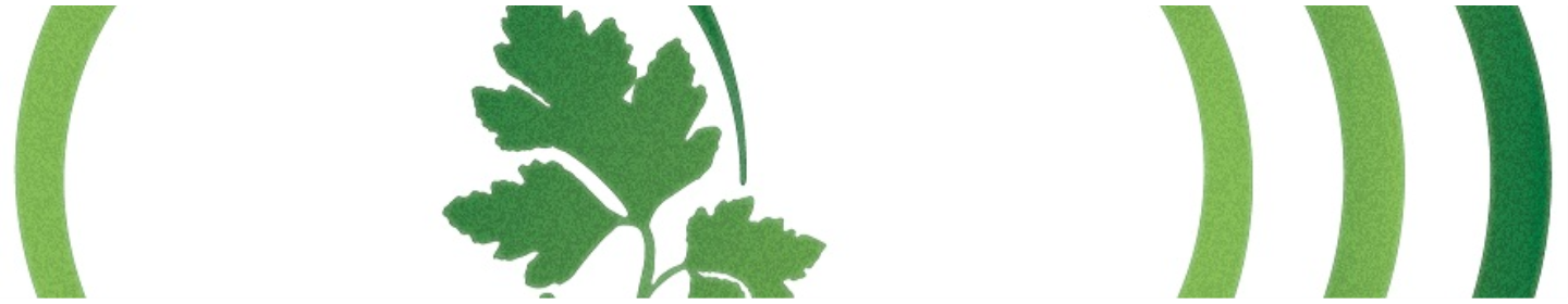 شرکت پیدن