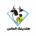 استخدام هلدینگ الماس