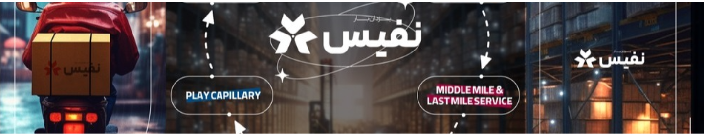 نفیس اکسپرس (هلدینگ نفیس )