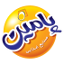 گروه صنعتی پامین