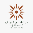 استخدام درخشان توپال کارمانیا