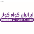 استخدام ایرانیان گواه کوثر