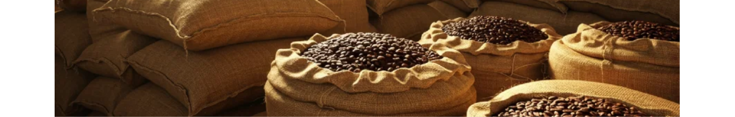 استخدام کافه استور