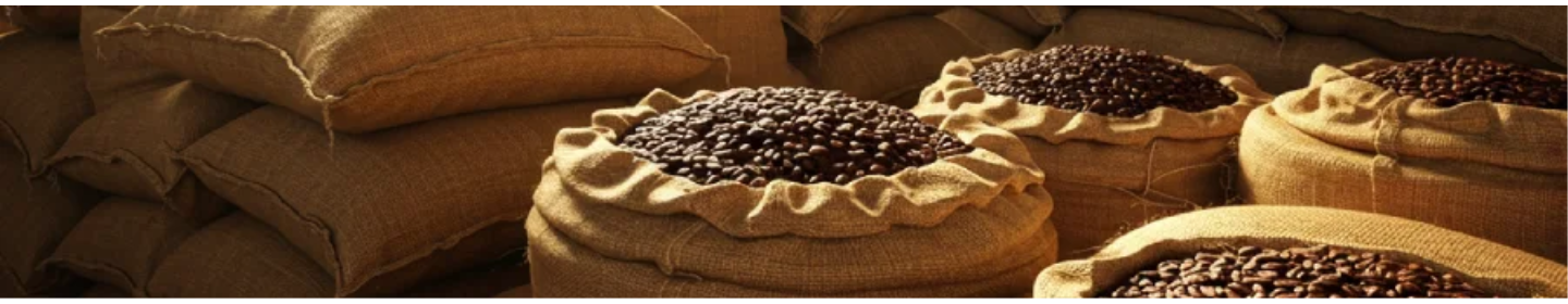 کافه استور