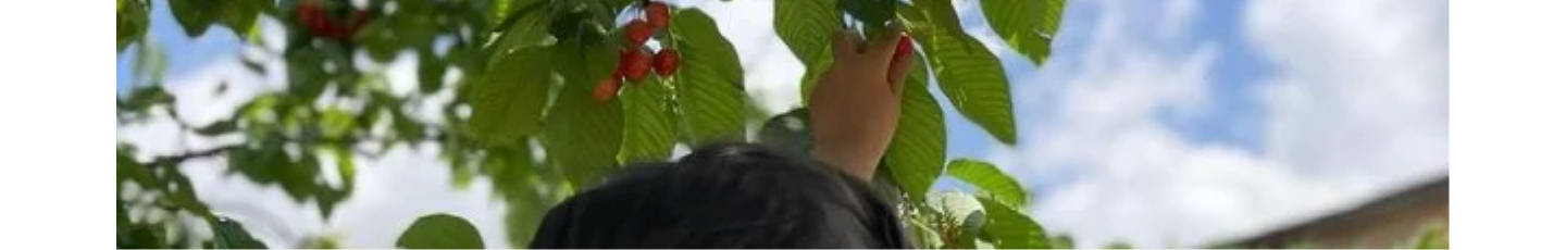 استخدام باغ کودکی اردیبهشت