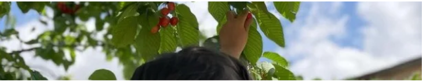باغ کودکی اردیبهشت