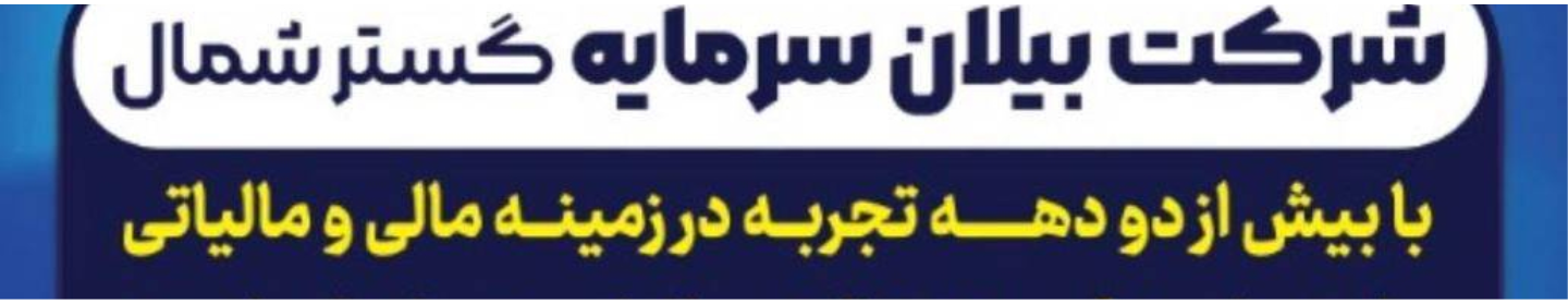 بیلان سرمایه