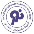 استخدام آزمایشگاه نور