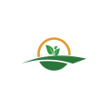 استخدام هلدینگ درویش