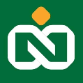 استخدام سبدگردان دارایی نیکی