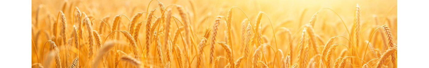 استخدام صنایع شیمیایی کرمان زمین