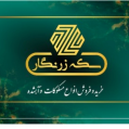 استخدام سکه زرنگار