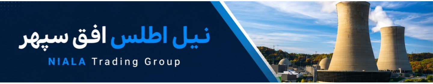 گروه تجاری نیالا
