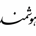 استخدام انبار هوشمند
