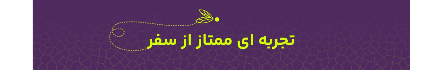 استخدام سنجاقک سفر