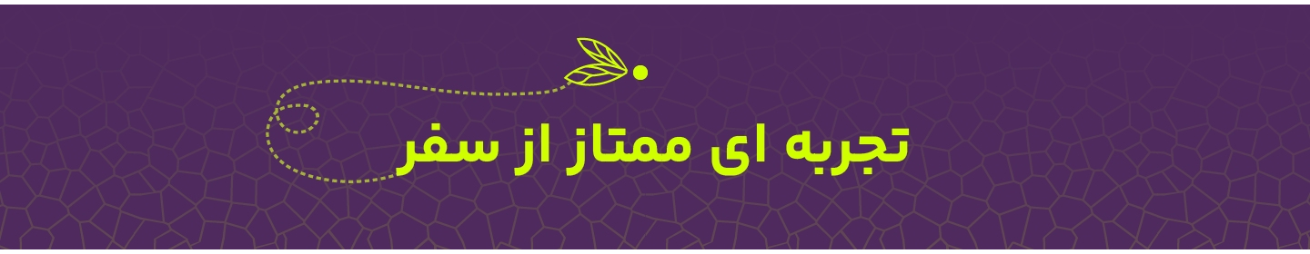 سنجاقک سفر