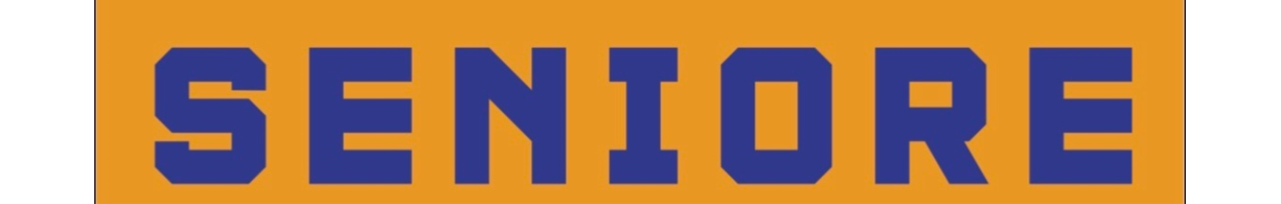 استخدام سینیور
