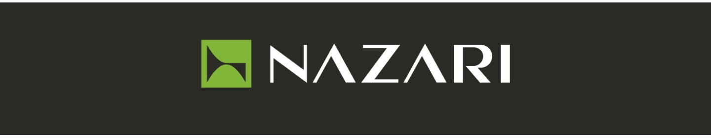 توسعه صنعت نظری
