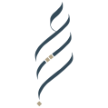 استخدام عینک عین
