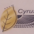 موسسه پزشکی و توانبخشی کوروش طب