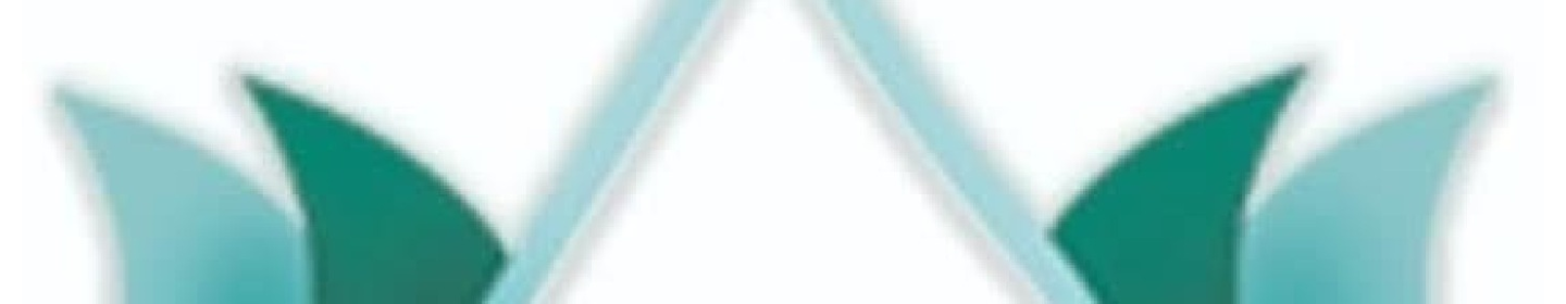 شرکت آرین ورجا سرمه