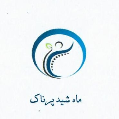 استخدام ماه شید پرناک