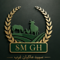 استخدام سپید ماکیان غرب