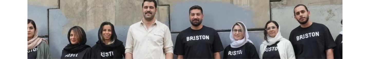 استخدام بریستون