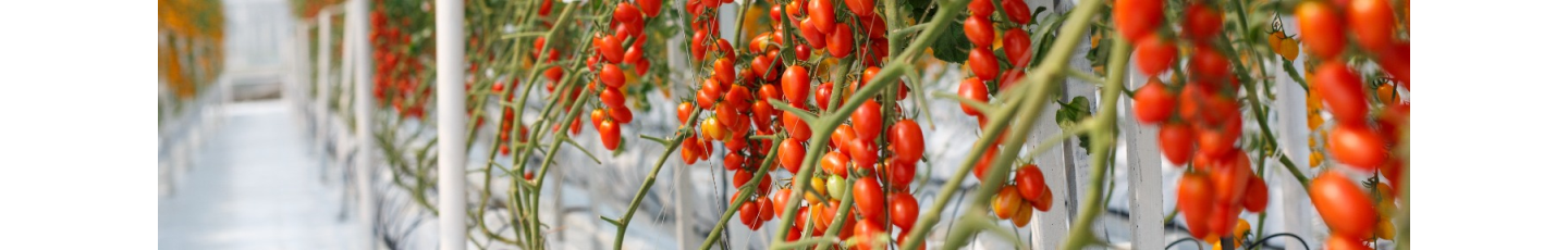 استخدام گروه تولیدی فراکشت پارسیان