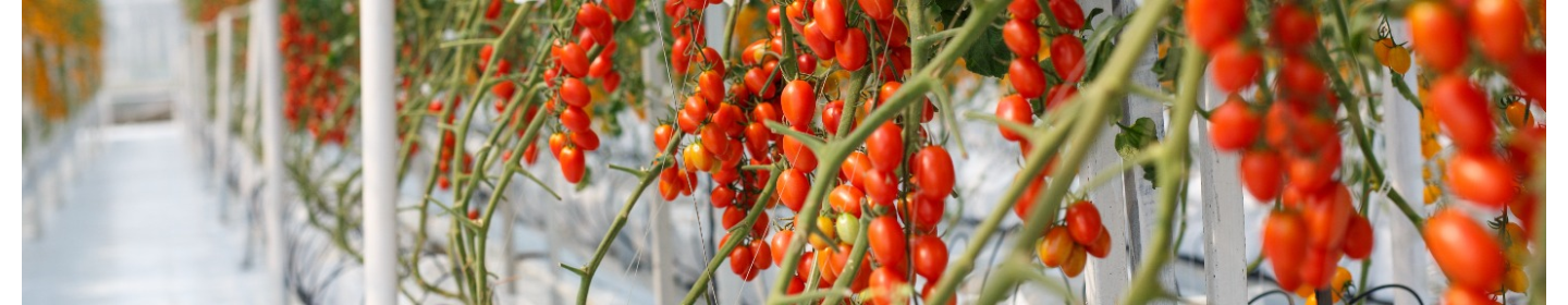 گروه تولیدی فراکشت پارسیان