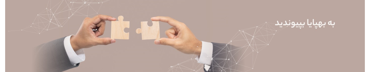 فناوری اطلاعات بهپایا