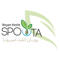 استخدام رویان کشت اسپوتا