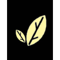 استخدام اعلا تجارت کیمیا
