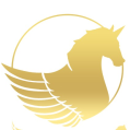 استخدام نوین اوج