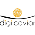 استخدام DigiCaviar