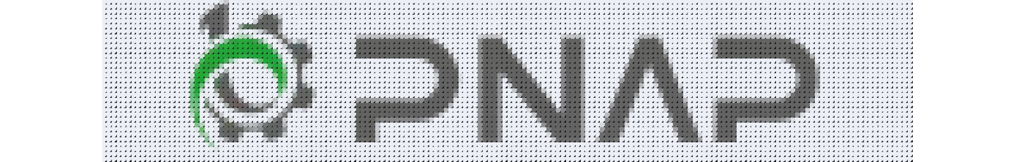 استخدام پناپ